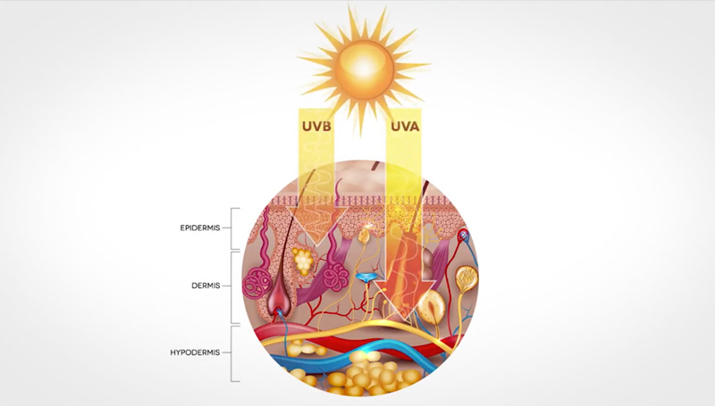 Ação do Sol sobre a Pele